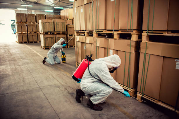 Best Affordable Pest Control Services  in Farr West, UT