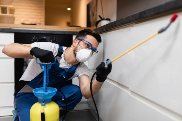 Best Termite Control Services  in Farr West, UT