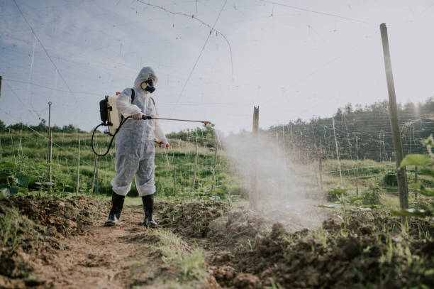 Best Best Pest Control Companies  in Farr West, UT