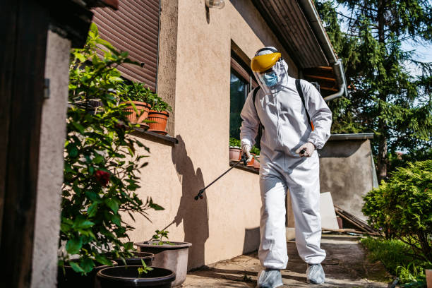 Best Local Pest Control Services  in Farr West, UT