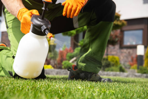 Best Wildlife Control Services  in Farr West, UT