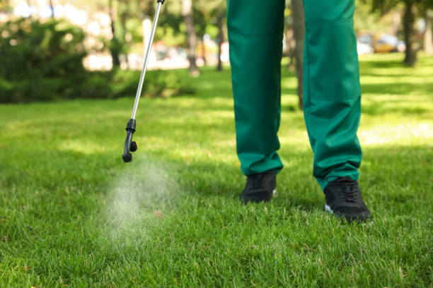 Best Pest Control Near Me  in Farr West, UT