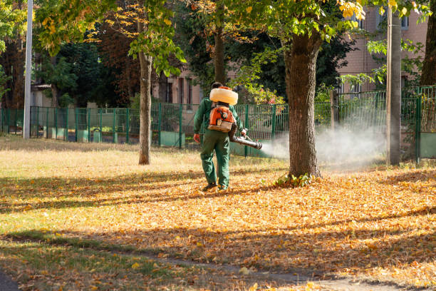 Flea Control Services in Farr West, UT