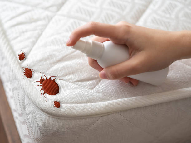 Trusted Farr West, UT Pest Control Experts