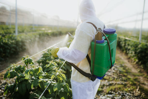 Best Mosquito Control Services  in Farr West, UT